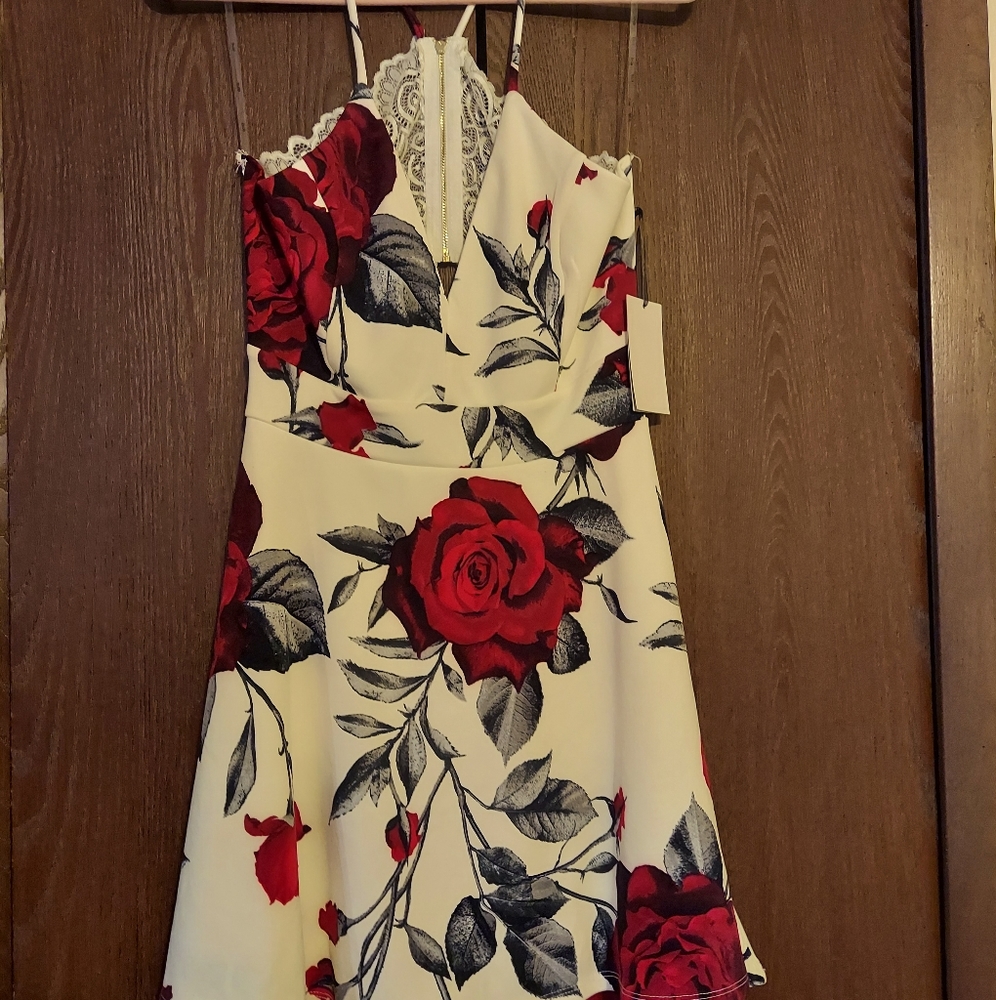 Open back dress
